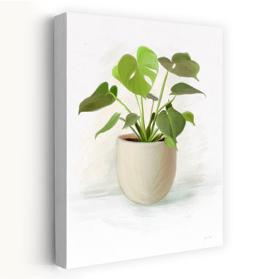 Everyday Plants II Contemporary Plant Art