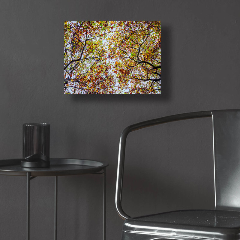«Autumn Colors» par SD Smart, art mural en verre acrylique, H 12 po x l 16 po x P 0,13 po