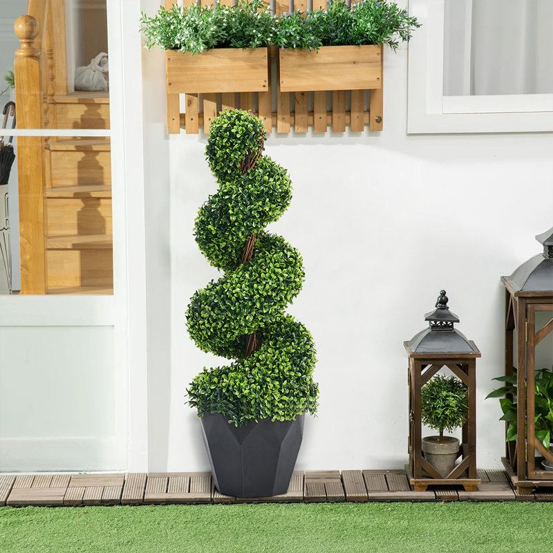 90cm Plant