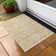 Chaena Southwestern Indoor / Outdoor Rug
