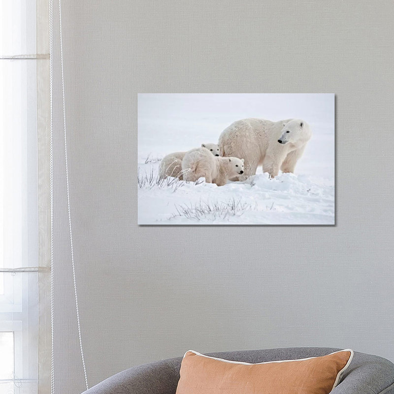 Canada, Manitoba, Churchill. Polar Bear Mother And Cubs On Frozen Tundra by Jaynes Gallery - Wrapped Canvas Print