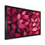Jaceyon - Floral Large Wall Art-2059290317-2059290316-1948146437