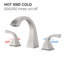 2-Handle Bathroom Sink Faucet With Drain-118546158
