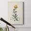 «Traditional Botanical III», impression sur toile tendue-1594425904