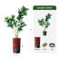Arbre artificiel en pot moderne Ficus Lyrata-97704353