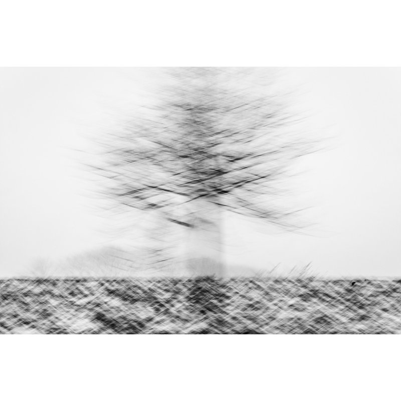 Wrapped Canvas Print, 81.28 cm H x 121.92 cm W