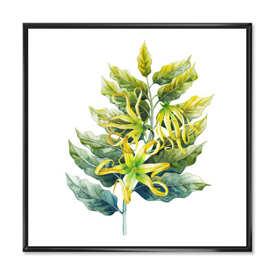 «Ylang Ylang Flower», impression sur toile
