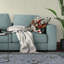 Coussin charmant-99315877-99315881