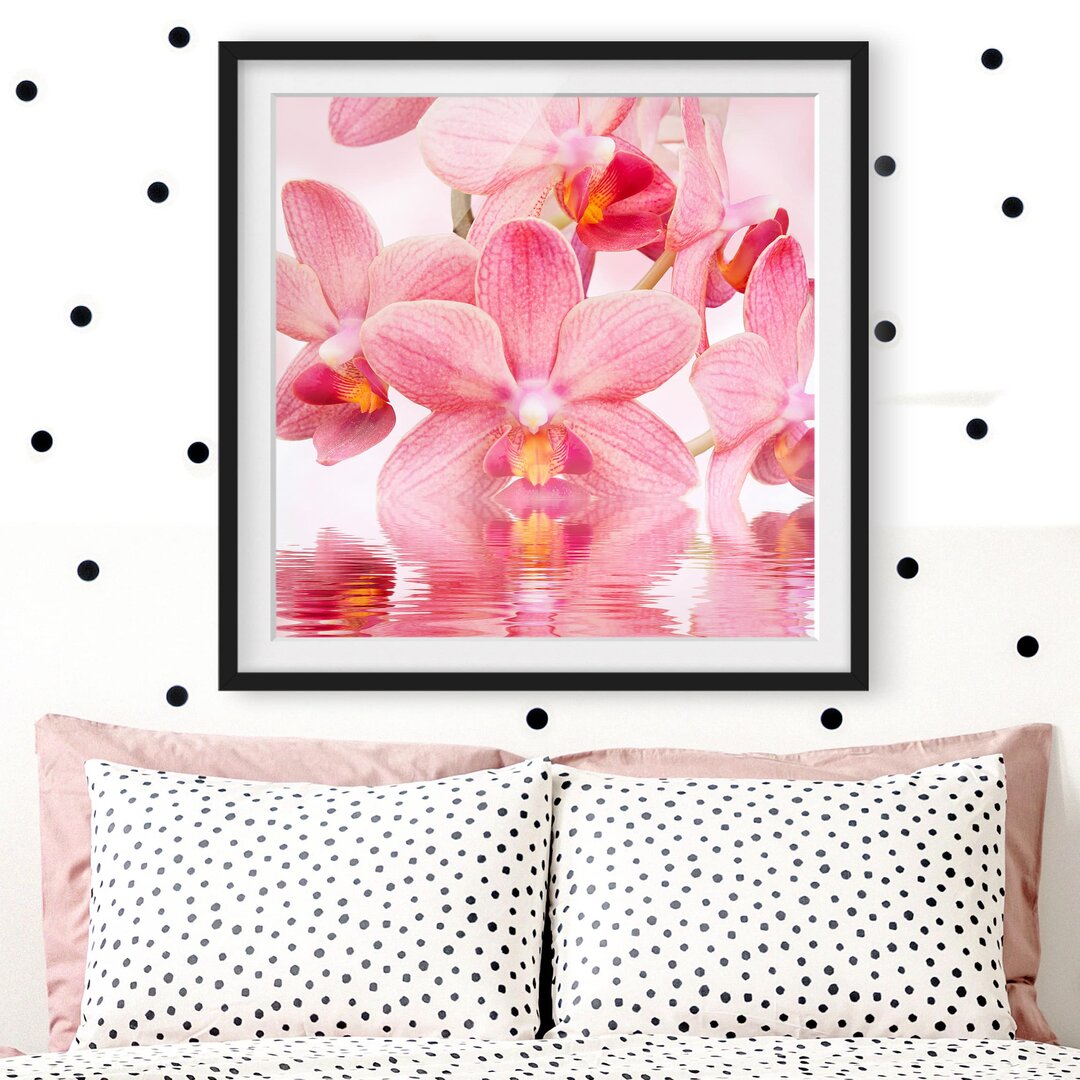 Gerahmtes Papierbild Rosa Orchideen auf Wasser