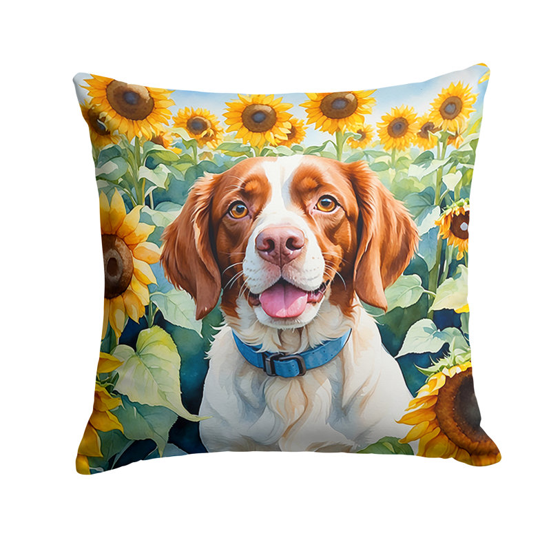 Other/No Pattern Outdoor Throw Pillow, 18" H x 18" W