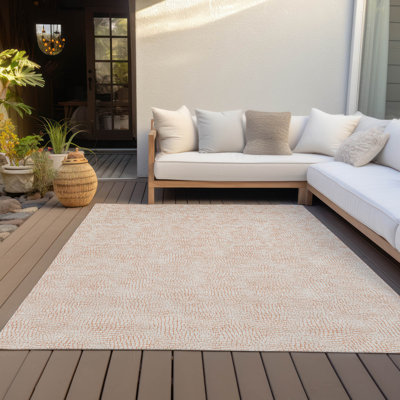 Machine Washable Indoor/Outdoor Chayden ACN1058 Rug