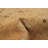 Dixion One-of-a-Kind 8' X 10'2" 2010s Wool Area Rug in Cream