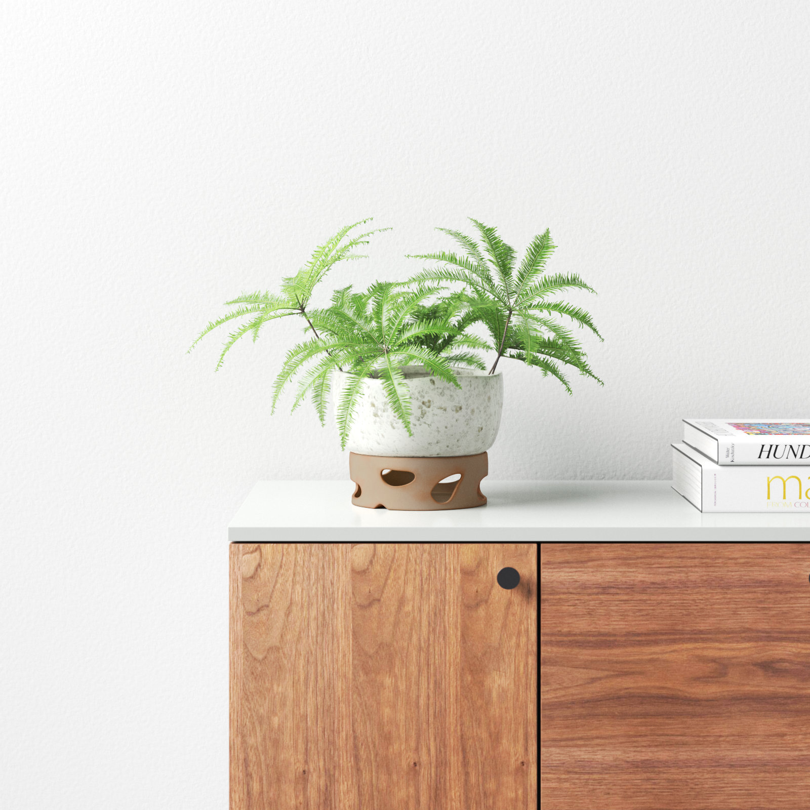 Danny 8" Ceramic Pot Planter, 6.5" H x 8" W x 8" D