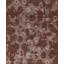 Paradise Hand Knotted Area Rug in Brown