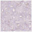 Couvre-lit matelassé Nautical Anchor Seashells-126746029
