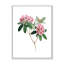 Flore américaine rétro II - peinture sur toile-59815438-59815437