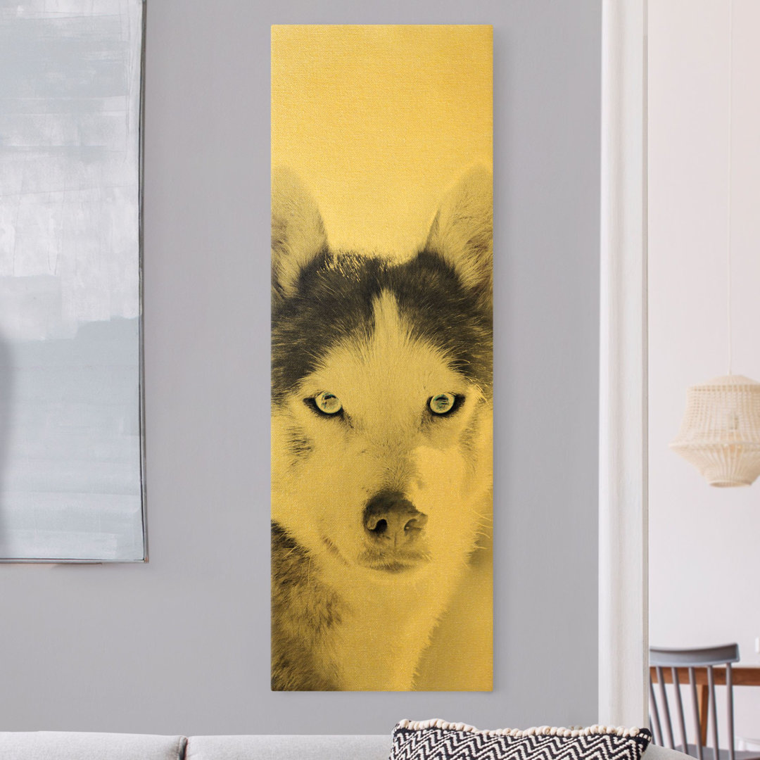 Leinwandbild Husky Portrait