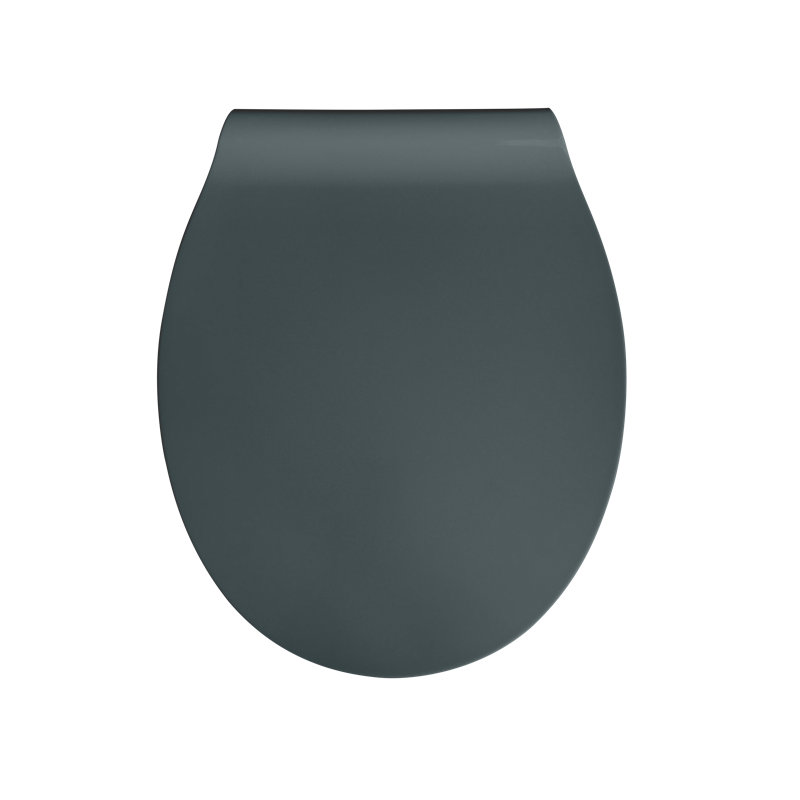 Slimline Soft Close Elongated Toilet Seat