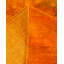 Vibrance One-of-a-Kind 12' X 15'3" Area Rug