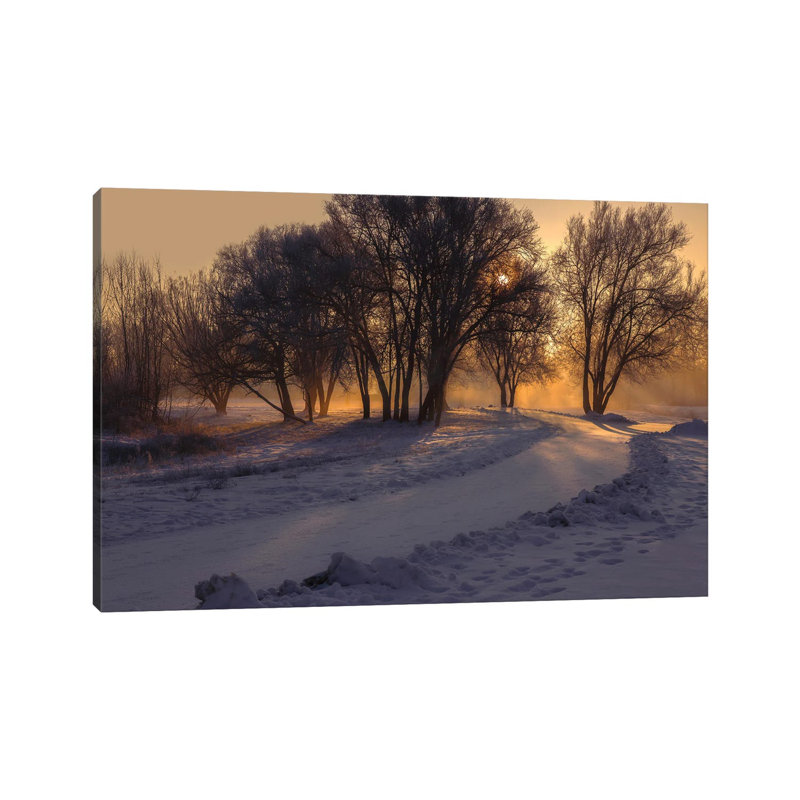 My Ray Of Light by Louis Ruth - Wrapped Canvas Print, 66.04 cm H x 45.72 cm W