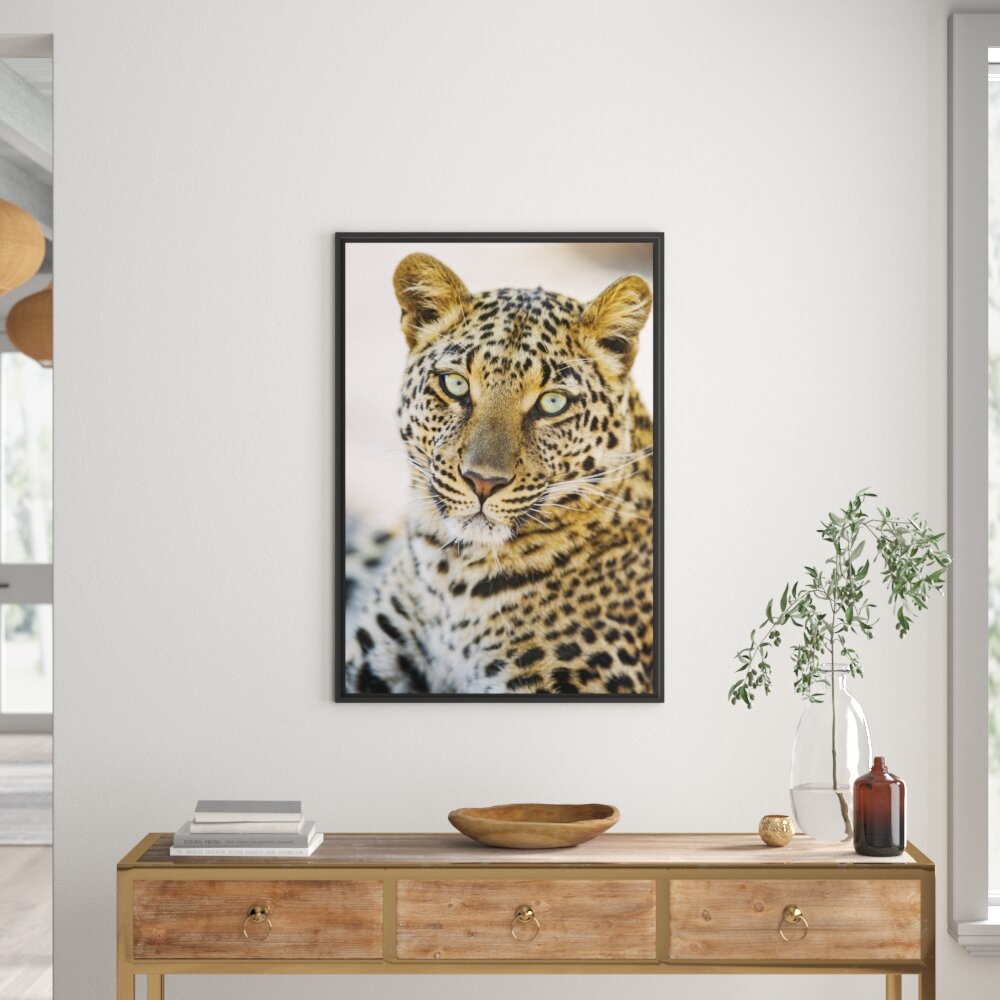 Gerahmter Kunstdruck Leopard