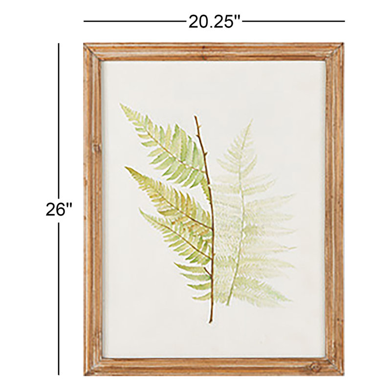 «Fern Study» par Eifa - Ensemble de 6 reproductions d'art sur papier encadrées