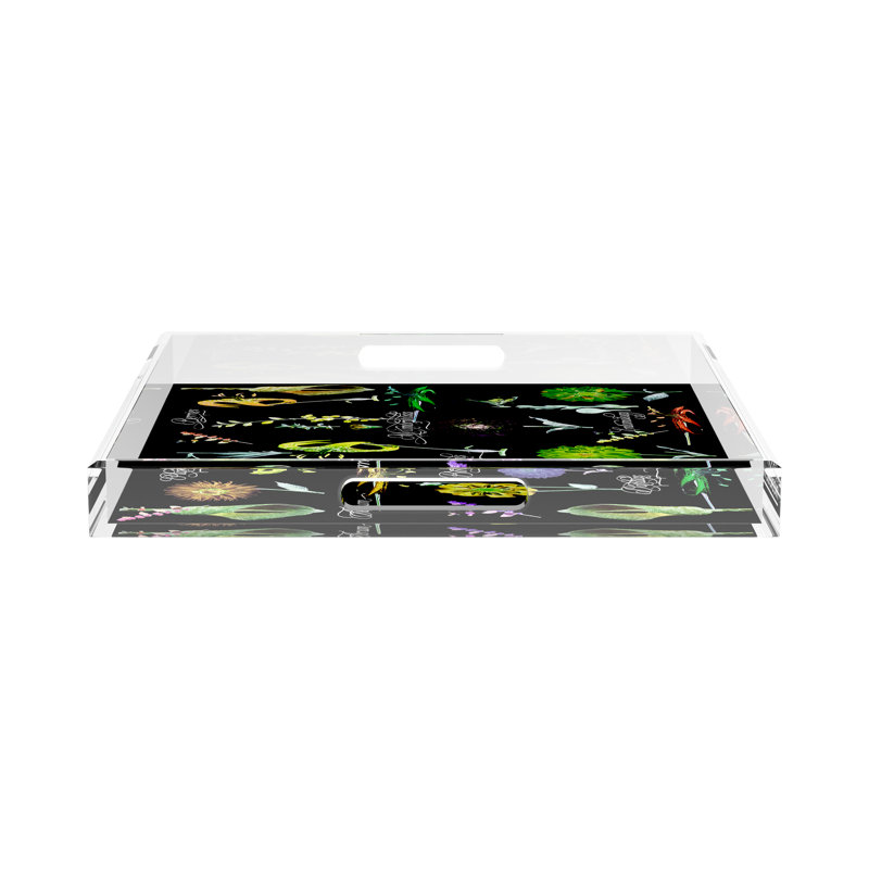 Botanicals Xray Acrylic Square Decorative Tray, Green, 18"W x 18"D x 2"H