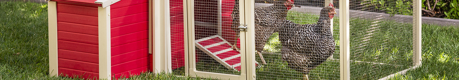 Outdoor Pet Shop