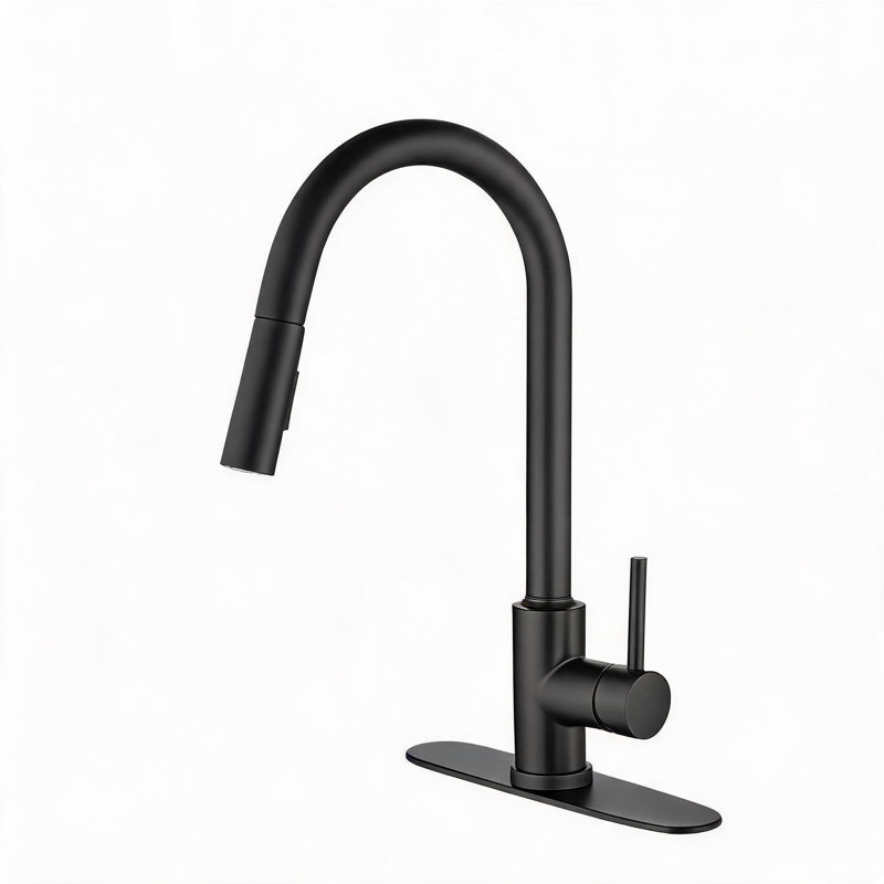Robinet de cuisine en acier inoxydable noir mat avec douchette rétractable et bec pivotant à 360 degrés