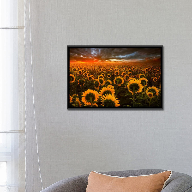 « echos of light », reproduction de photo sur toile, H 18 po x l 26 po x P 1,5 po, Toile avec cadre noir