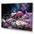 Wrapped Canvas