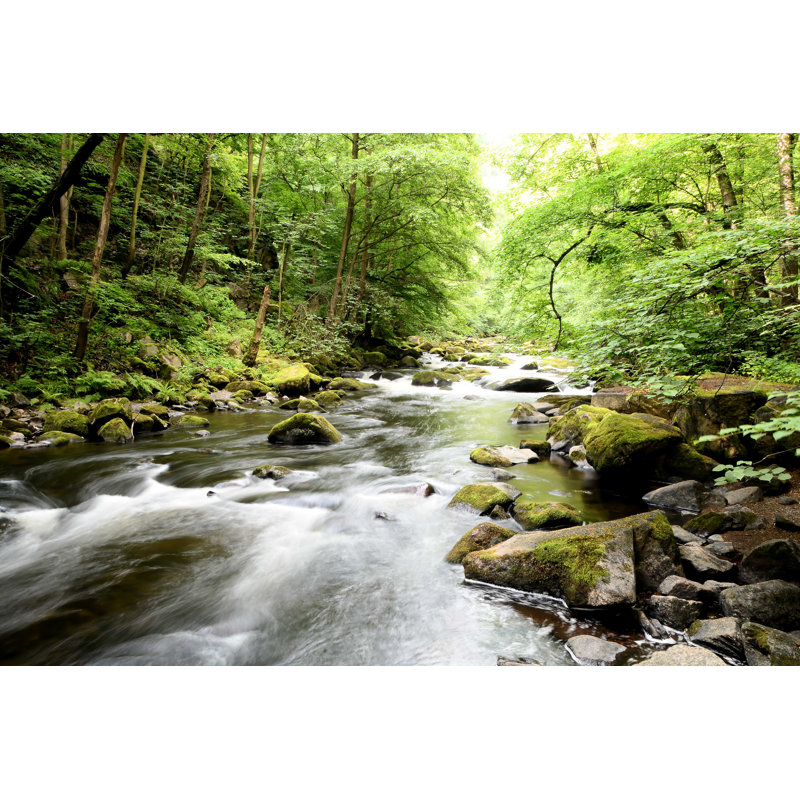 Mountain Stream - Photographie sur toile tendue, H 24 po x l 36 po