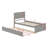 Platform Bed With Trundle-294442680