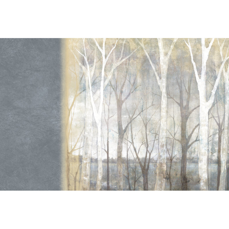 Big Tree Texture - Wrapped Canvas Print, 30cm H x 46cm W x 3.8cm D