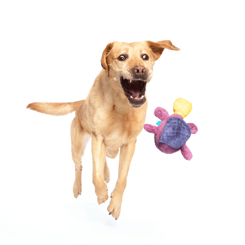 Australian Outbark Accessories