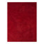 Tapis rouge à poils longs Chaves-25411787
