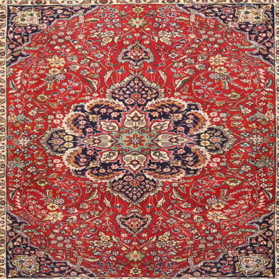 Oriental Indoor Rug