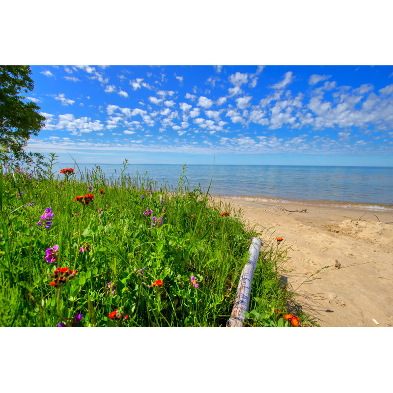 Wildflowers On Beach by ehrlif - Wrapped Canvas Rectangle Print, 30cm H x 46cm W