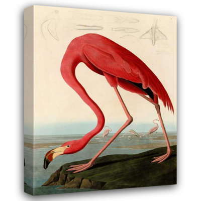 Bayou Breeze Audubon, John James Gallery, reproduction d'art sur toile titrée: Flamant rouge américain