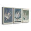 Pl 240 Roseat Tern - ensemble de 3 impressions sur toile tendue-71890155