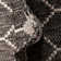 Charcoal Traliccio Indoor/Outdoor Trellis Rug