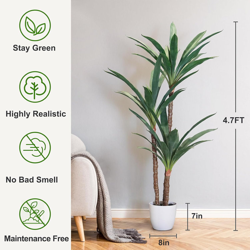 57 plantes