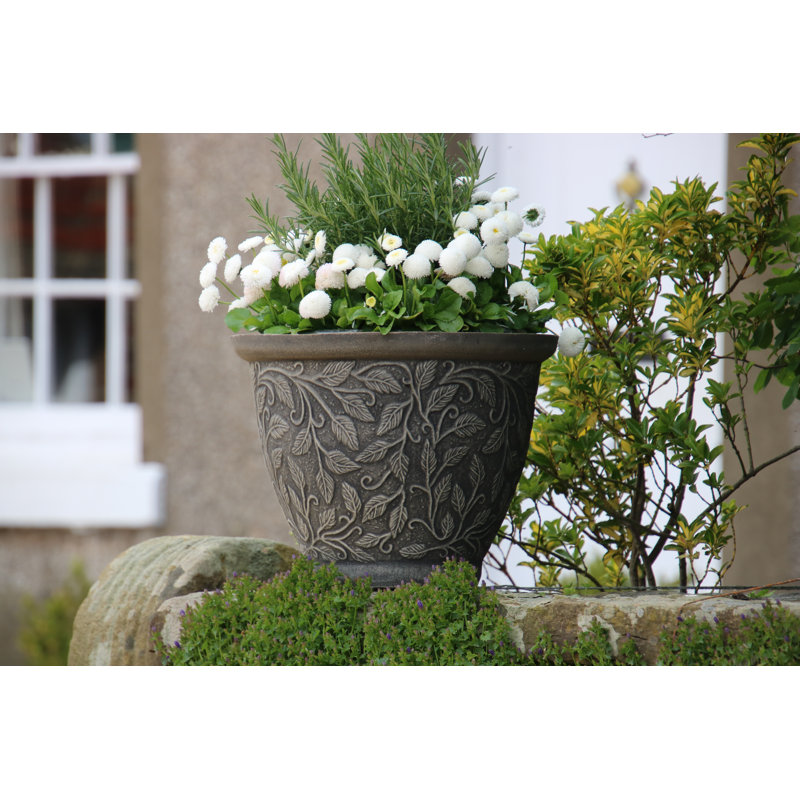 Montanez Pot Planter, 38 cm H X 50 cm W x 50 cm D