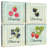 Yarlin Berries Delight-109154376