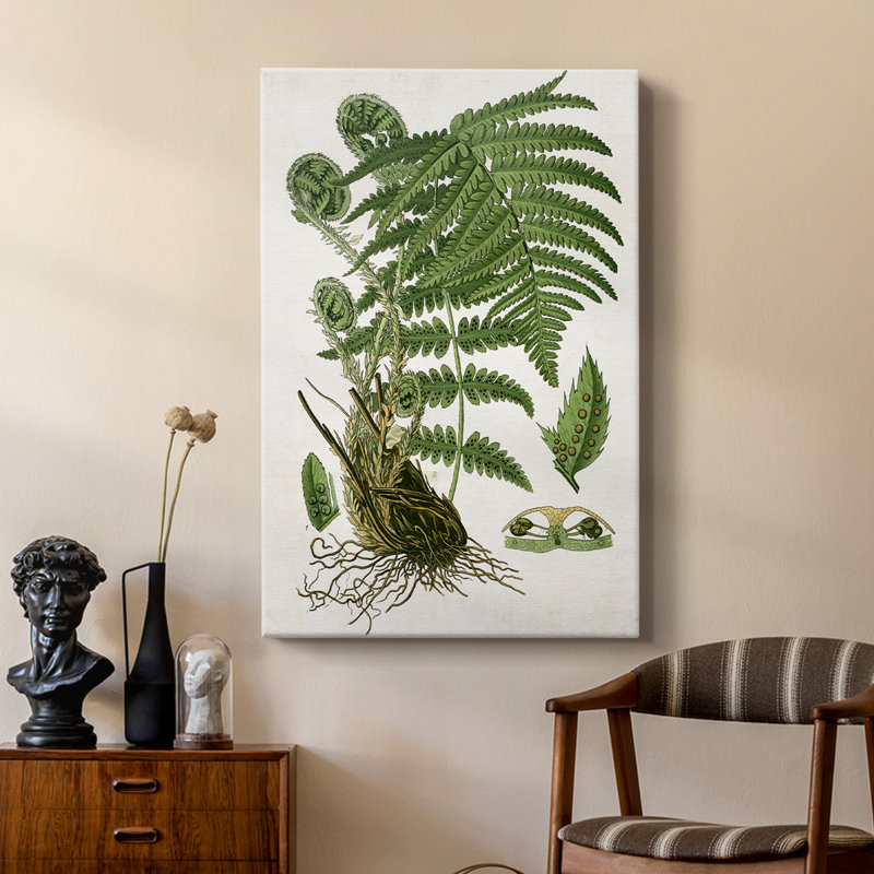 Fougère I - galerie Cavas sur mesure, H 18 po x l 12 po
