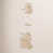 Gold/Ivory/White/Yellow selected