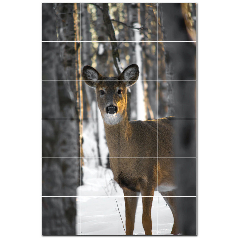 Cerf photo 6 x 6