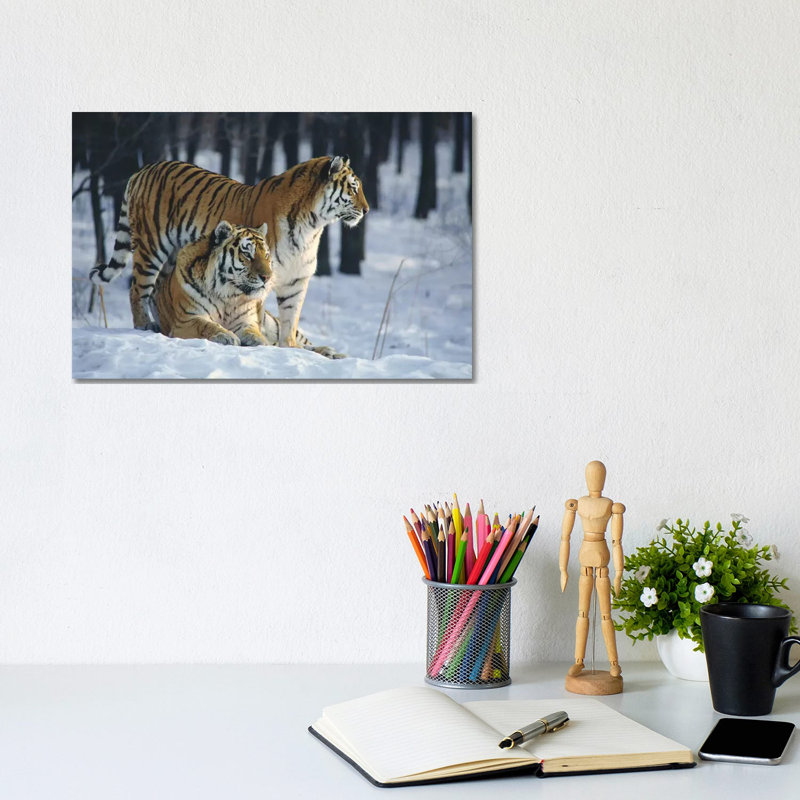 Siberian Tiger Pair In Snow by Toshiji Fukuda - Wrapped Canvas Print, 20.32 cm H x 30.48 cm W
