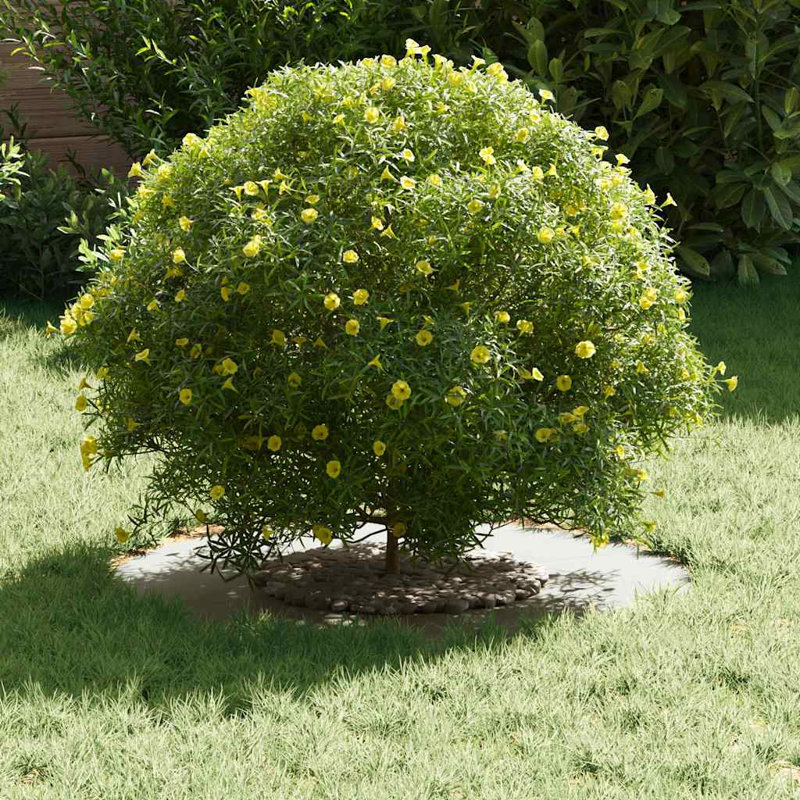 Tree Ring Decorative Garden Modern Protector Outdoor Ornament Base Home, White, 60cmW x 60cmD