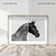 Midnight Majesty I Framed Graphic Art-1743286227-1749364584